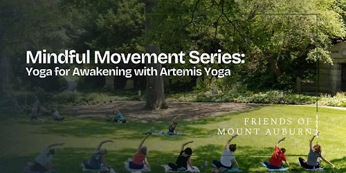 Yoga for Awakening with Artemis Yoga
