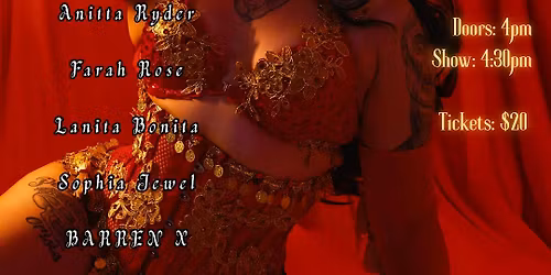 Darkly Devised: A Dazzling Showcase