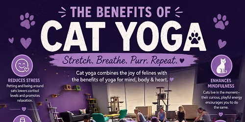 Yoga with Cats