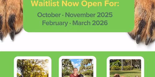 Reactive Dog Group Class (4 weeks class \/ Once a week)  