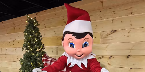 Chippy The Scout Elf