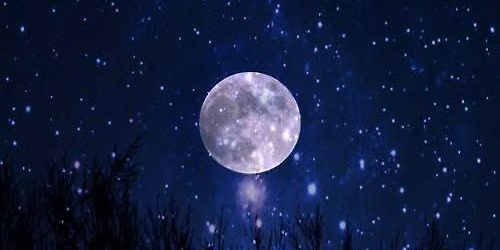 Nature School: Night Sky