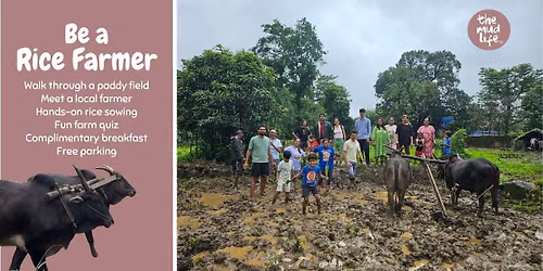 The Mud Life - Rice Farming Special