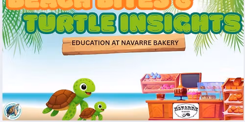 Beach Bites & Turtle Insights