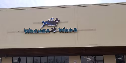 Washes and Wags Low Cost Pet Vaccine Clinic