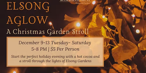 Elsong Aglow