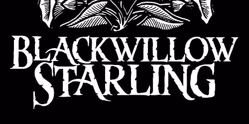 Blackwillow Starling at Cafe Carpe in Ft. Atkinson, WI