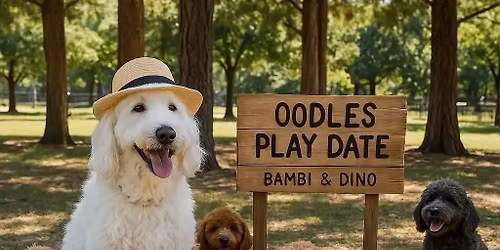 November Oodles Play Date at Darra - Ducie Street park