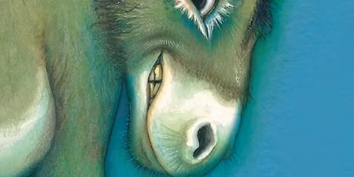 Craig Smith - The Wonky Donkey Show!