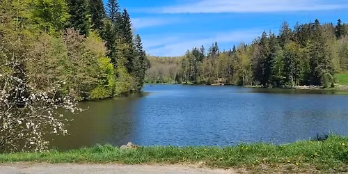 Naturpark aktiv 2026 - Ein Tag f\u00fcr die Seele! Ebnisee und Gallengrotte