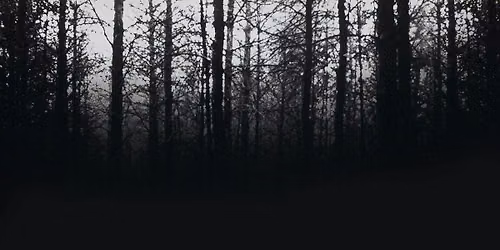 35mm The Blair Witch Project @Tower