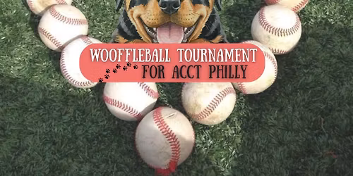 Celtic Cross Wooffleball Tournament \u26be\ud83d\udc3e