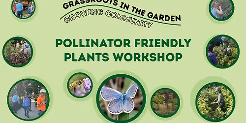 Pollinator Friendly Plants Workshop - Grassroots in the Garden: Growing Community