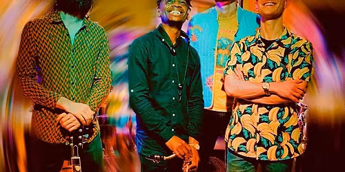 Interstellar Cat Collective