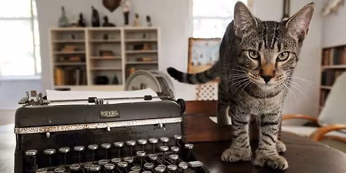 Santa Visits the Hemingway Home & Museum! \u2728