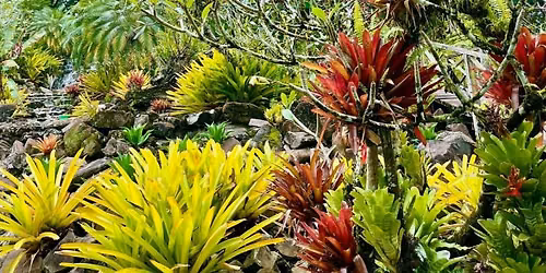 Flower Show Horticulture Class