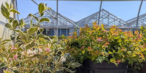 Spring Plant Sale