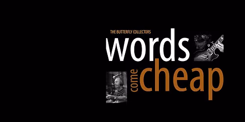 The Butterfly Collectors 'Words Come Cheap' album launch