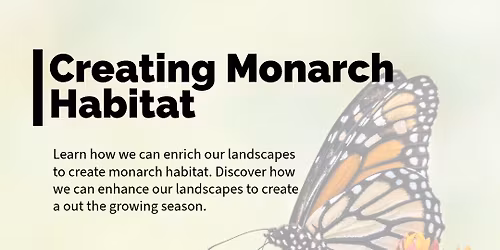 Creating Monarch Habitat