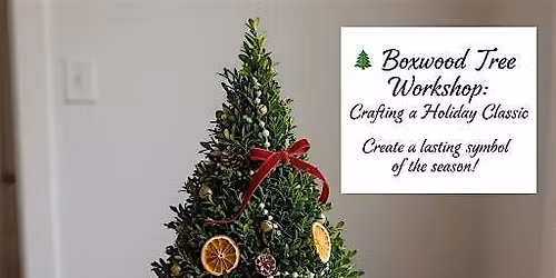Create Your Own Tabletop Boxwood Tree!