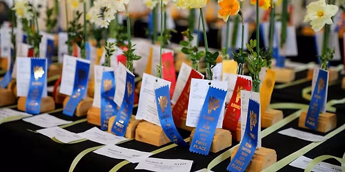 Daffodil Delights: The Daffodil Society of Rhode Island Show