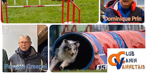 Concours Agility Vannes 2026