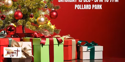 Mitre 10 Mega Marlborough Christmas In The Park 2024