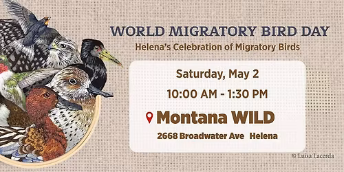 World Migratory Bird Day - Montana WILD
