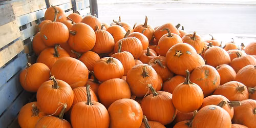 Shrimp City Slim (piano blues) in a pumpkin patch (noon-3 pm)