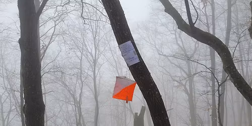 Save The Date - LeFaGySz Mecsek 2026