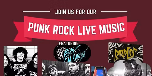 punk rock show at the skatepark 