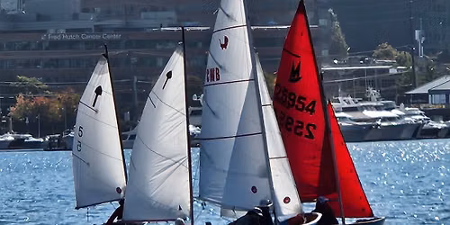 The Tiny Boat Regatta