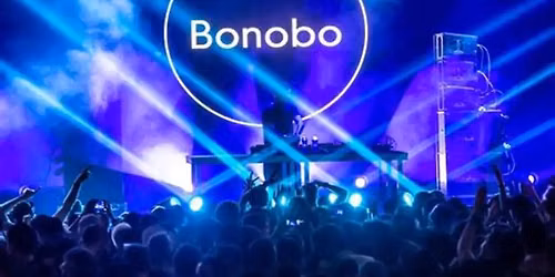 Bonobo