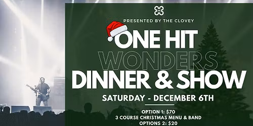ONE HIT WONDERS Christmas Show