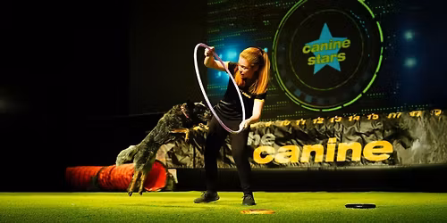 Parking The Canine Stars Stunt Dog Show