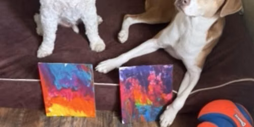 Paw-casso Puppy Paint Event