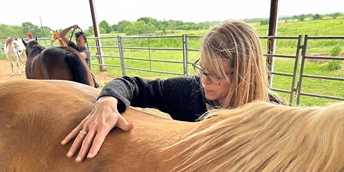 (IET OSTEO 2) Equine Osteopathic Techniques, Cranial & Cervical with Tom Mayes, Placerville, CA