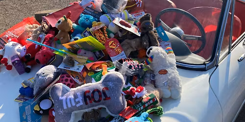 Annual Squeaky Toy Drive