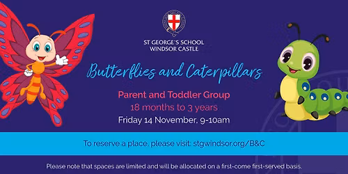 Butterflies and Caterpillars 