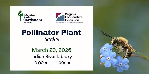 Pollinator Plant Series 2026