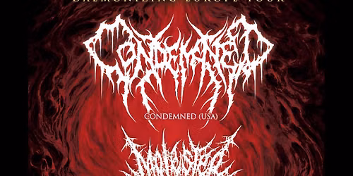 Condemned (US), Molested Divinity (TR), Post Natal Abortion, Human Mass Extermination
