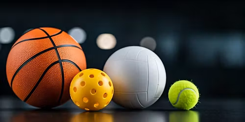 Veterans Day VBall Clinic