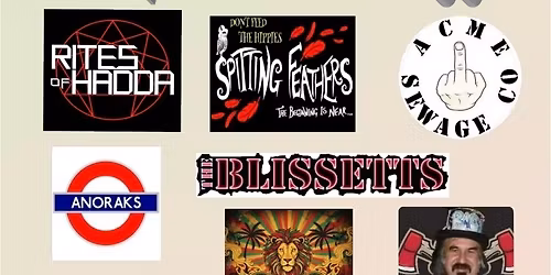 Spitting Feathers and 50 years of Punk with Acme Sewage co. 