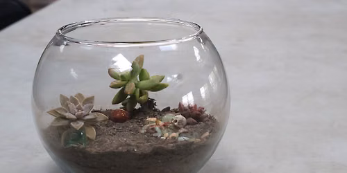 Succulent Garden Workshop at the Botanical Gardens
