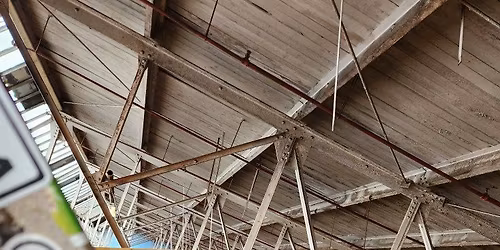 Dirty South to Rays MTB Park