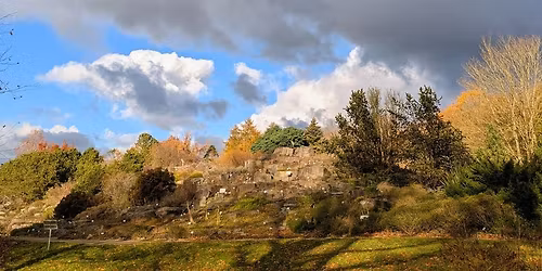 Tag der offenen T\u00fcr