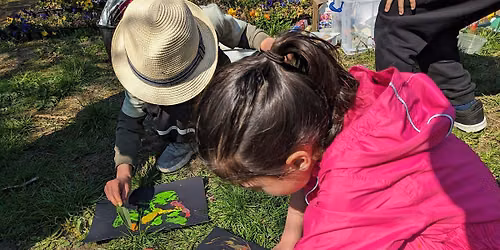 Luton Nature Explorers- Summer Club for Kids (26th August)