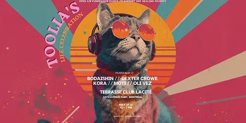 \u2728 TOOLIA\u2019S LIFE CELEBRATION - Rhythms Under The Sun \u2728