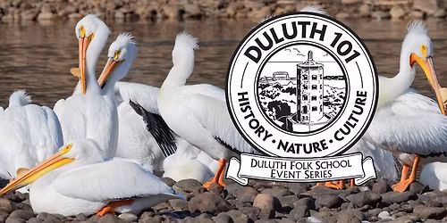 Duluth 101: Laura Erickson, "Ready or Not, Here They Come! Enjoying Duluth's Spring Migration"