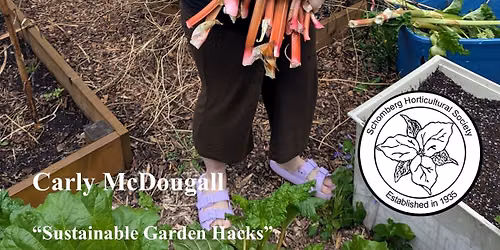 "Sustainable Garden Hacks" - Carly McDougall